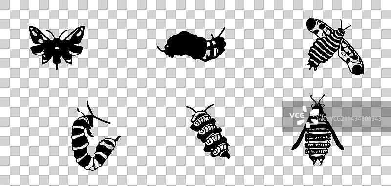 袋蛾毛虫图标图片素材