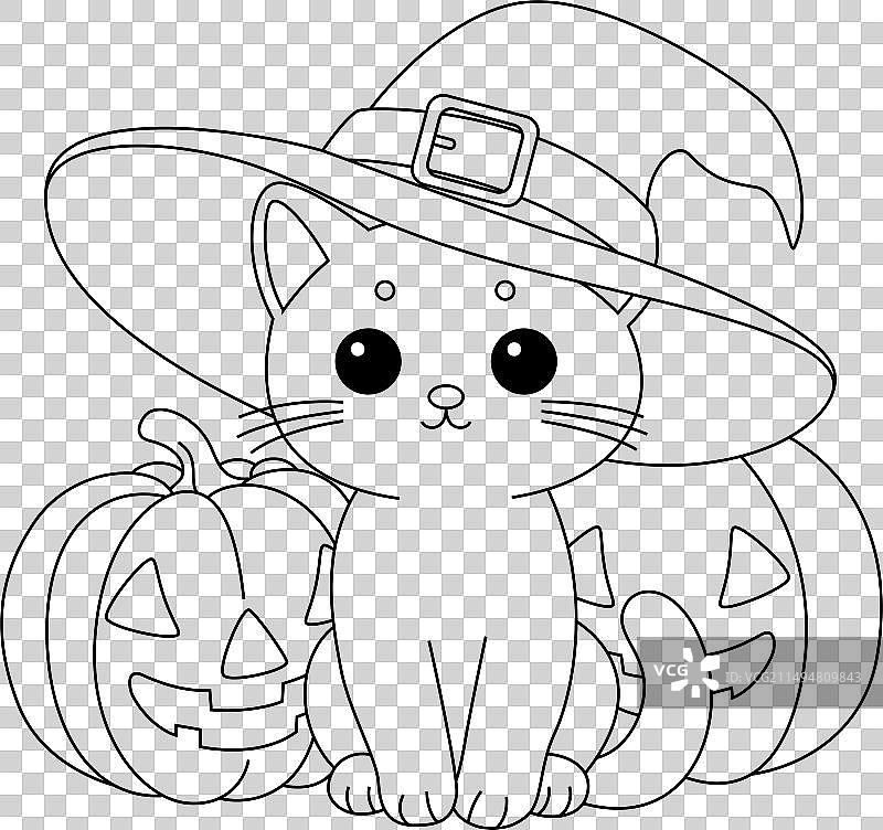 可爱的猫咪坐在两个万圣节南瓜前图片素材