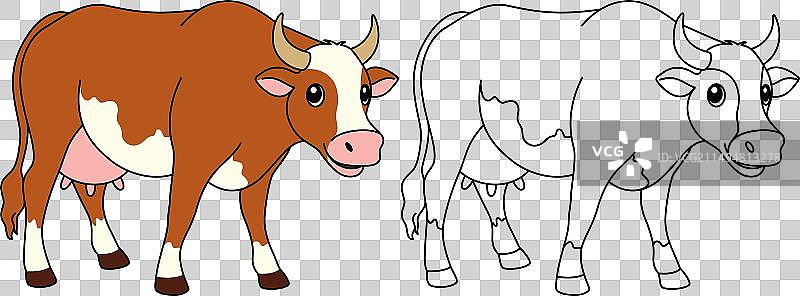 可爱的卡通牛涂色页图片素材