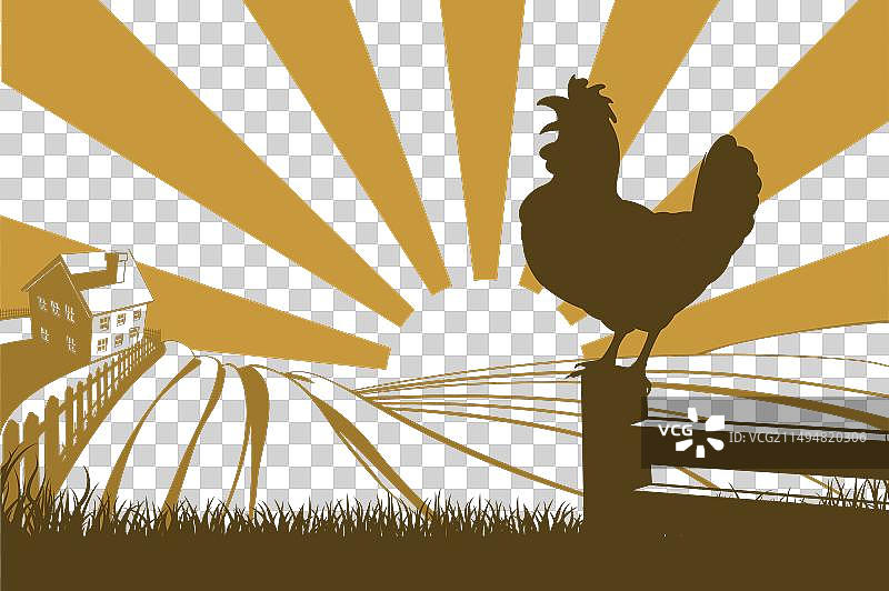 公鸡剪影啼叫图片素材
