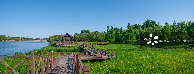 自然生态图片素材