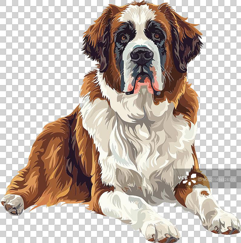 可爱的圣伯纳犬艺术图片素材