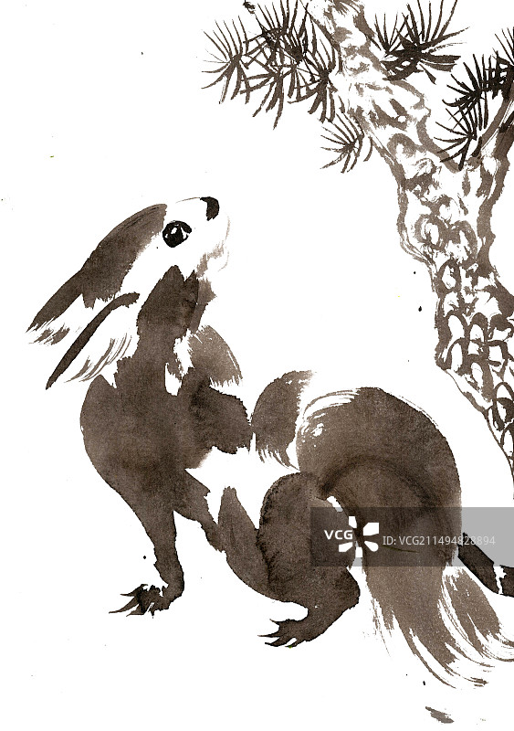 松树下的小松鼠图片素材