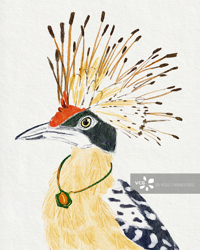 戴胜 鸟类特写 国画风格图片素材