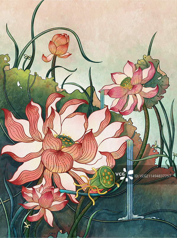 国风荷花图片素材