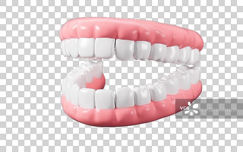 人类牙齿模型3D渲染图片素材