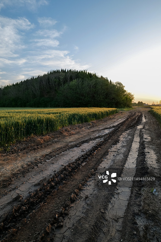 泥泞的土路通往山东淄博临淄齐国故城桓公台遗址图片素材