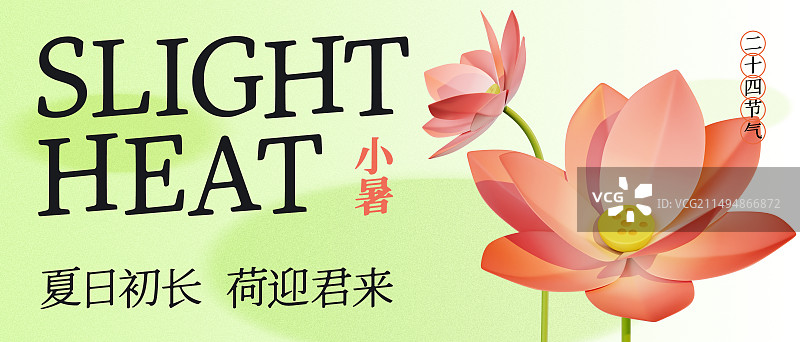 3D渲染24节气小暑荷花海报设计模板图片素材