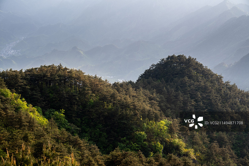 临安太子尖图片素材