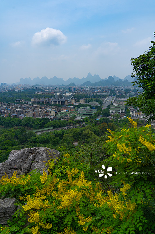 桂林的夏天 从七星公园摘星亭上看桂林城区、云实花图片素材