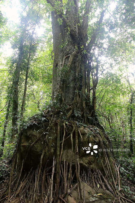 莫里美景图片素材