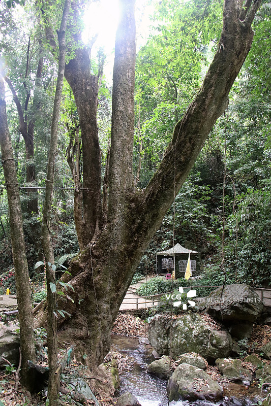 莫里美景图片素材