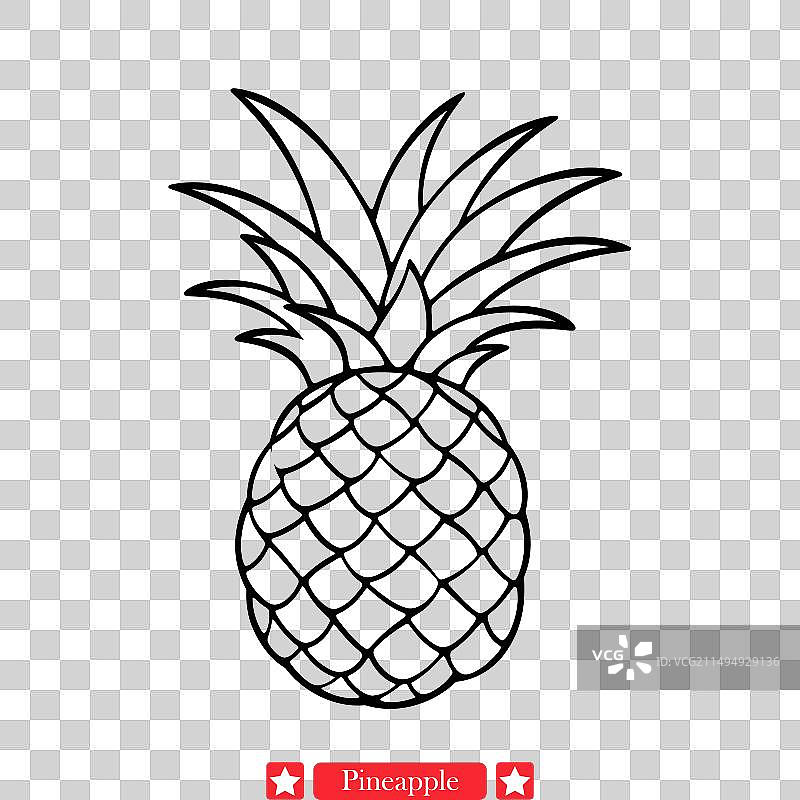 阳光灿烂的精致菠萝轮廓图片素材