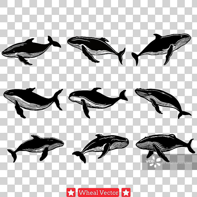 海洋的优雅：探索迷人深海图片素材