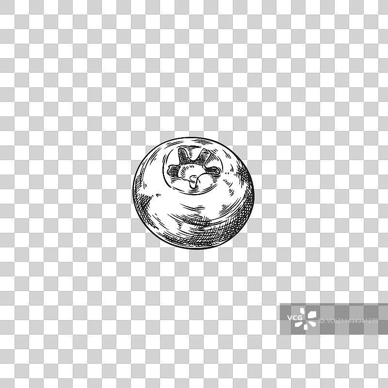 浆果草图美食套餐图片素材