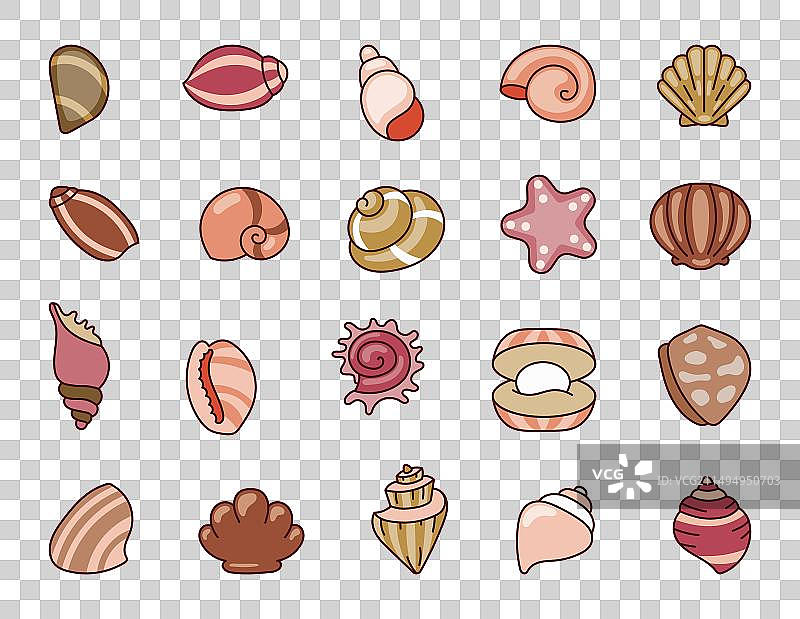 海洋贝壳水下软体动物图片素材