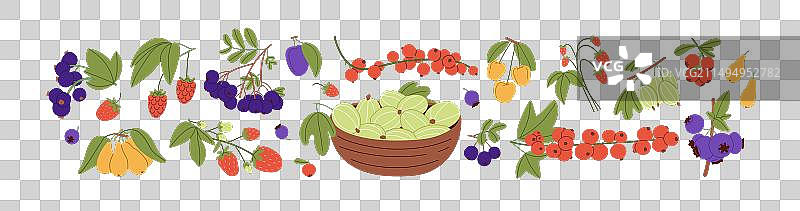 各种野生和花园多汁成熟浆果图片素材