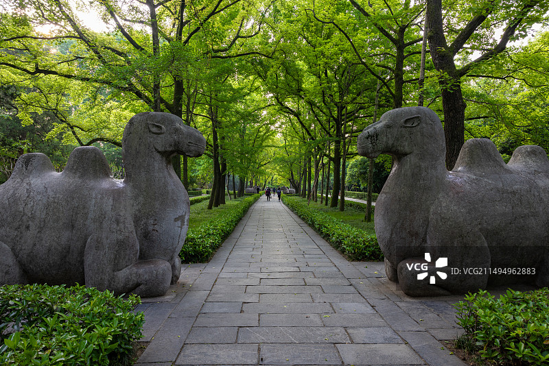 明孝陵神道图片素材