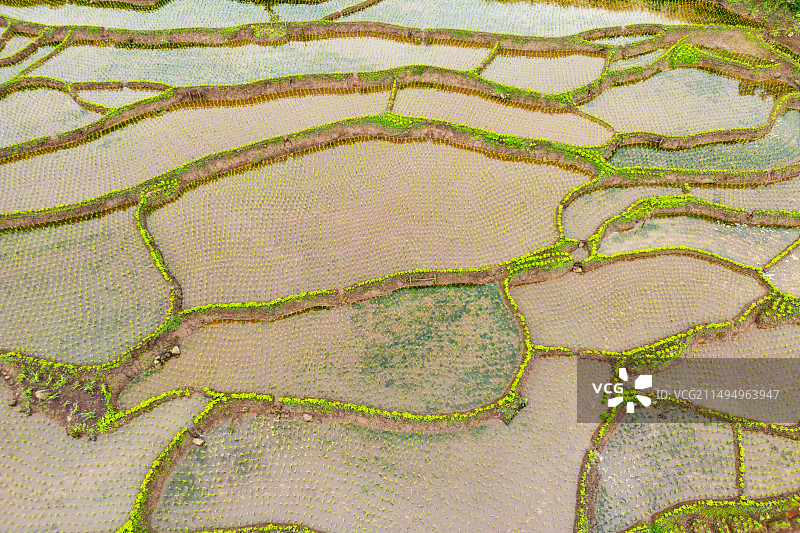 成都乐山沙湾区四峨梯田图片素材