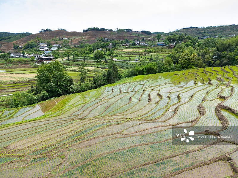 成都乐山沙湾区四峨梯田图片素材