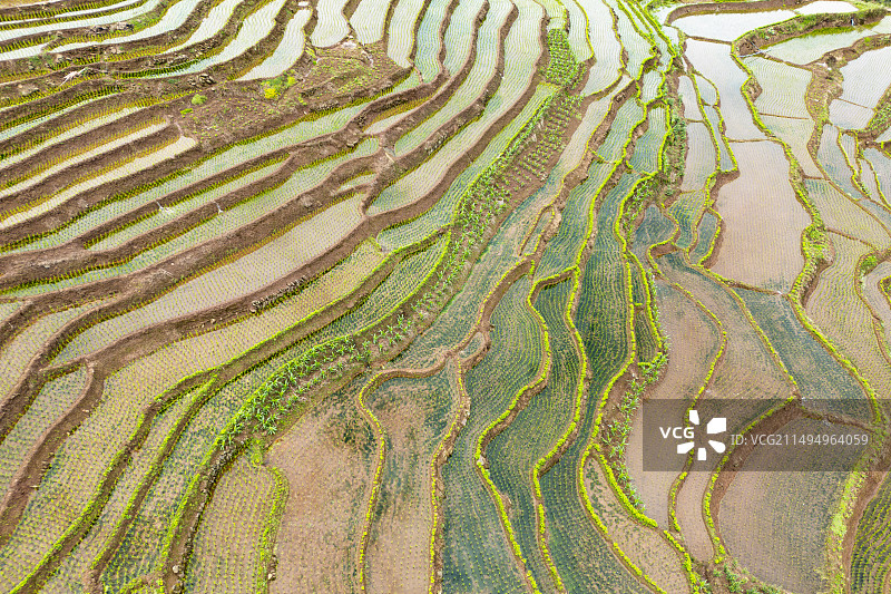 成都乐山沙湾区四峨梯田图片素材