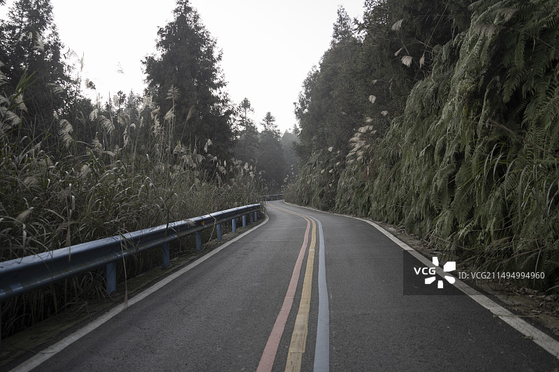 乡间旅游上山小路图片素材