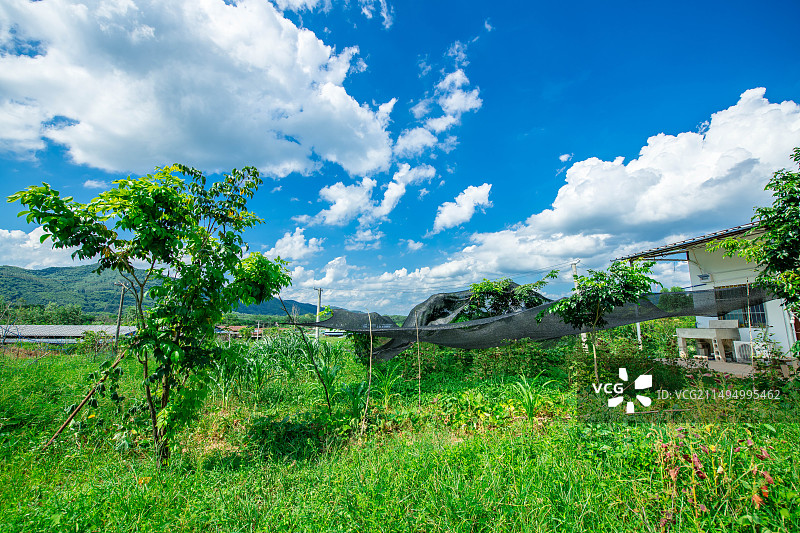 田园风光图片素材