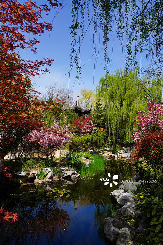 光满园的青岛世博园江苏园图片素材