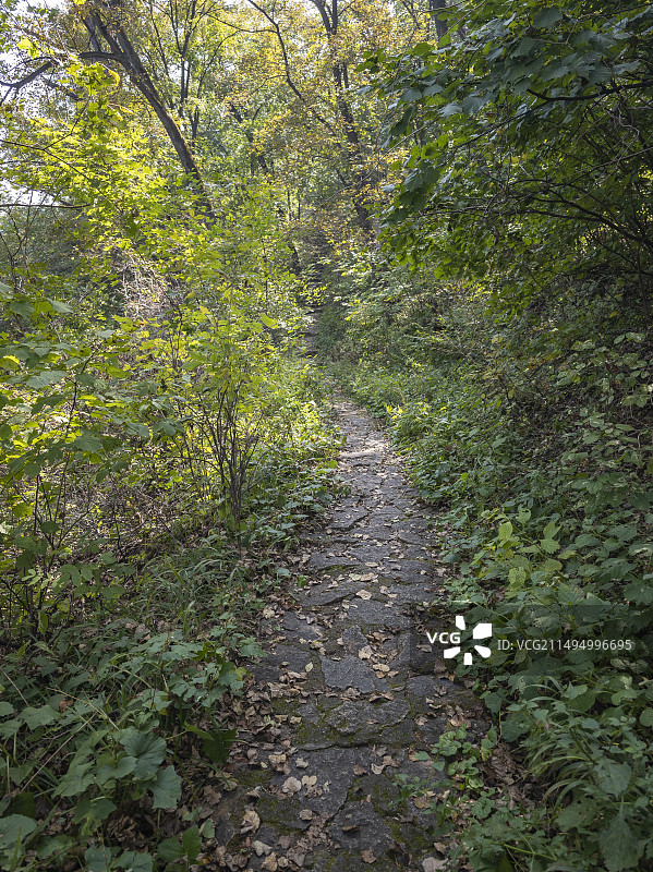 山林中的羊肠小路图片素材