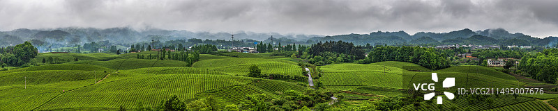 中国贵州湄潭的中国茶海图片素材