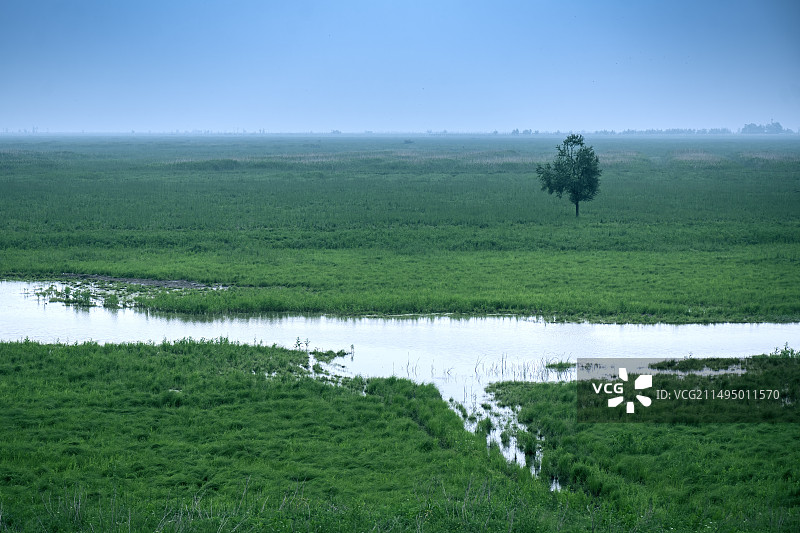 湖南西洞庭湖湿地风光和生态环境图片素材