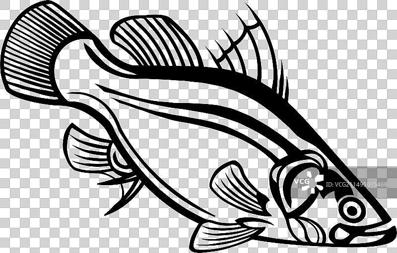 尼罗河鲈鱼-美国鱼类-鱼类标志图片素材