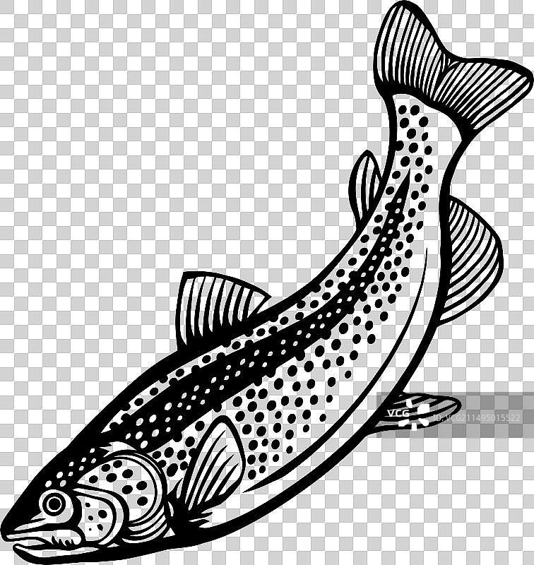 棕色鳟鱼-美国鱼类-鱼类logo图片素材