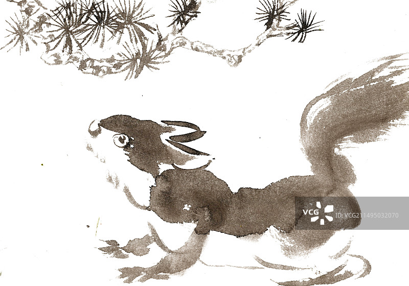 松树下的小松鼠图片素材