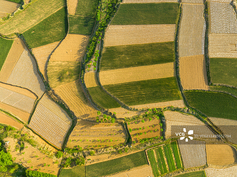 航拍山东省日照市五莲县石场乡农田，鲁东南丘陵地带黄土地与农业种植图片素材