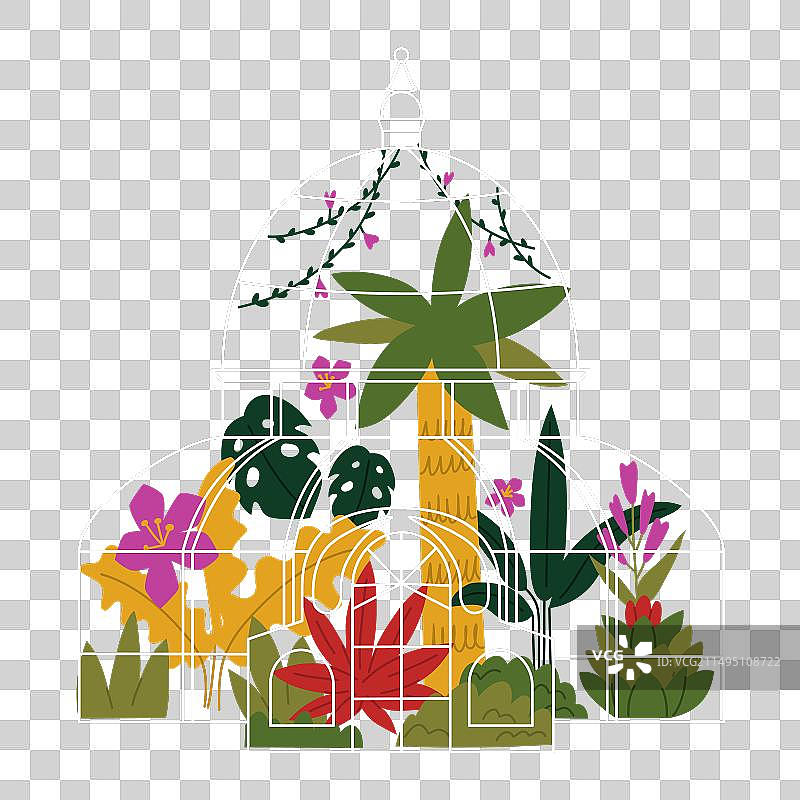 生长的热带丛林植物图片素材
