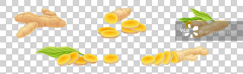 用作烹饪调味的姜黄植物根图片素材