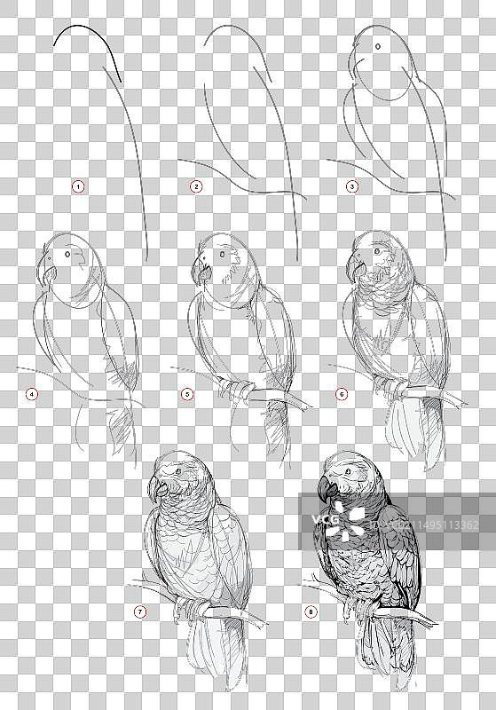 学习写生绘画教程页面图片素材