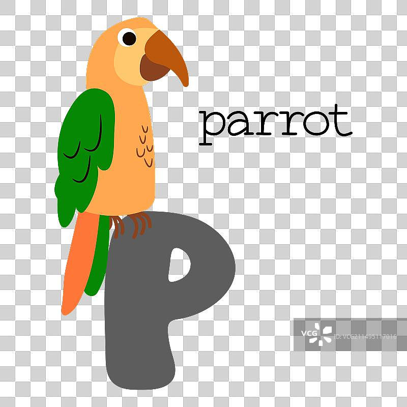 字母P的教育素材图片素材