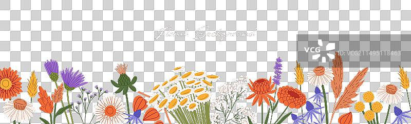 狂野花园干花边框图片素材