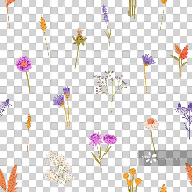 可重复的野花图案图片素材