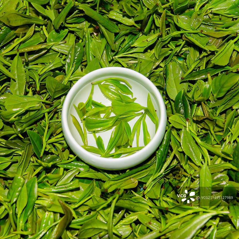茶杯泡茶，新采的鲜叶为背景图片素材