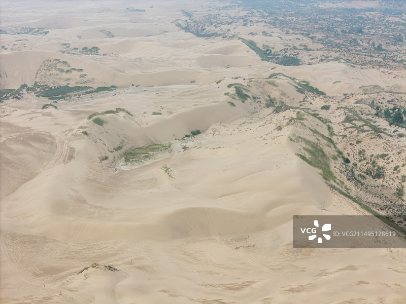 沙漠绿化图片素材