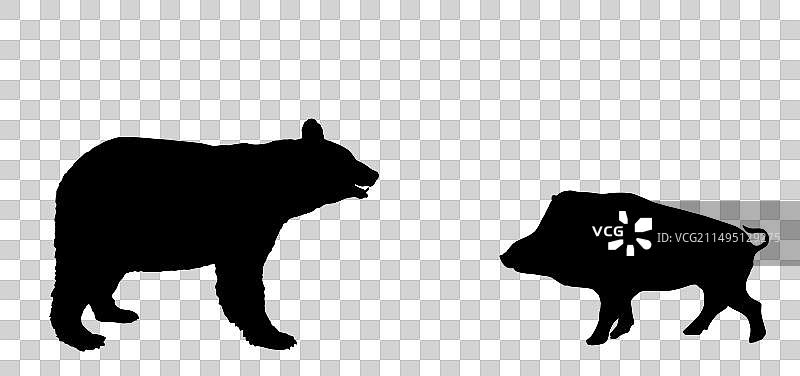 美洲黑熊与野猪轮廓剪影图片素材