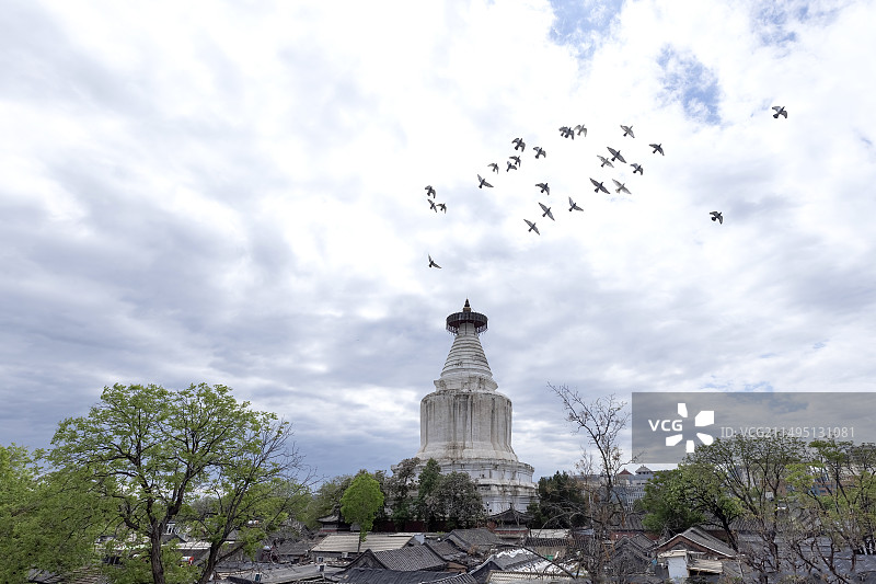 白塔寺和信鸽图片素材