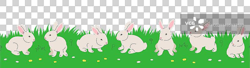 在绿色草地上玩耍的可爱小兔子图片素材