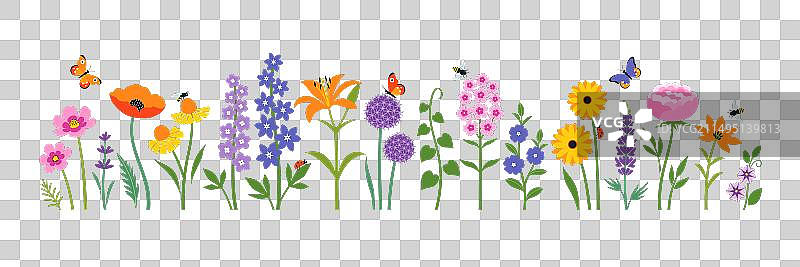 夏季花园花卉和昆虫景观图片素材