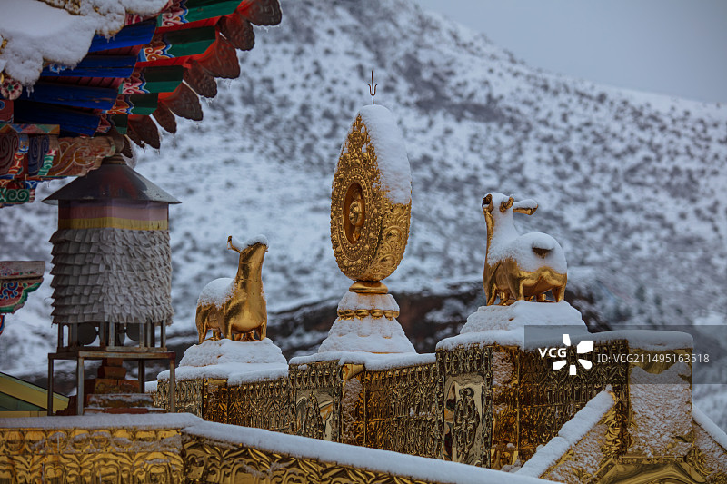 雪后清晨的甘肃碌曲郎木寺，藏传佛教大殿屋脊上的铜制鎏金双鹿法轮装饰，一对伏地伸颈听法的金鹿图片素材