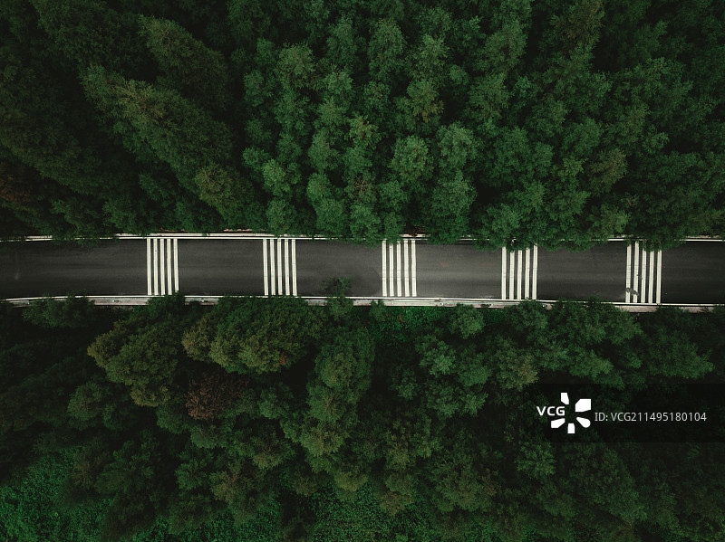 林间公路的高角度视图图片素材