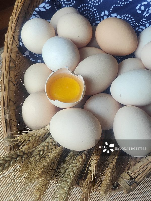 鸡蛋图片素材